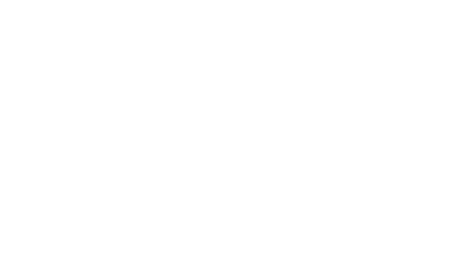 TM2H